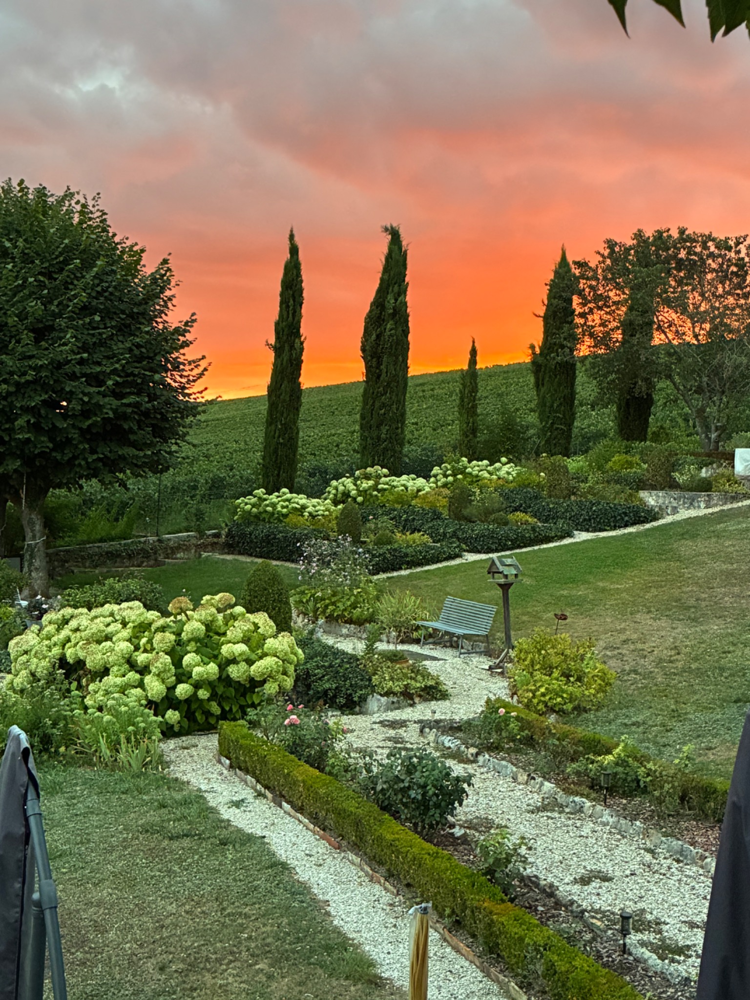 Sunset over the garden and vineyards at Maison Renoux